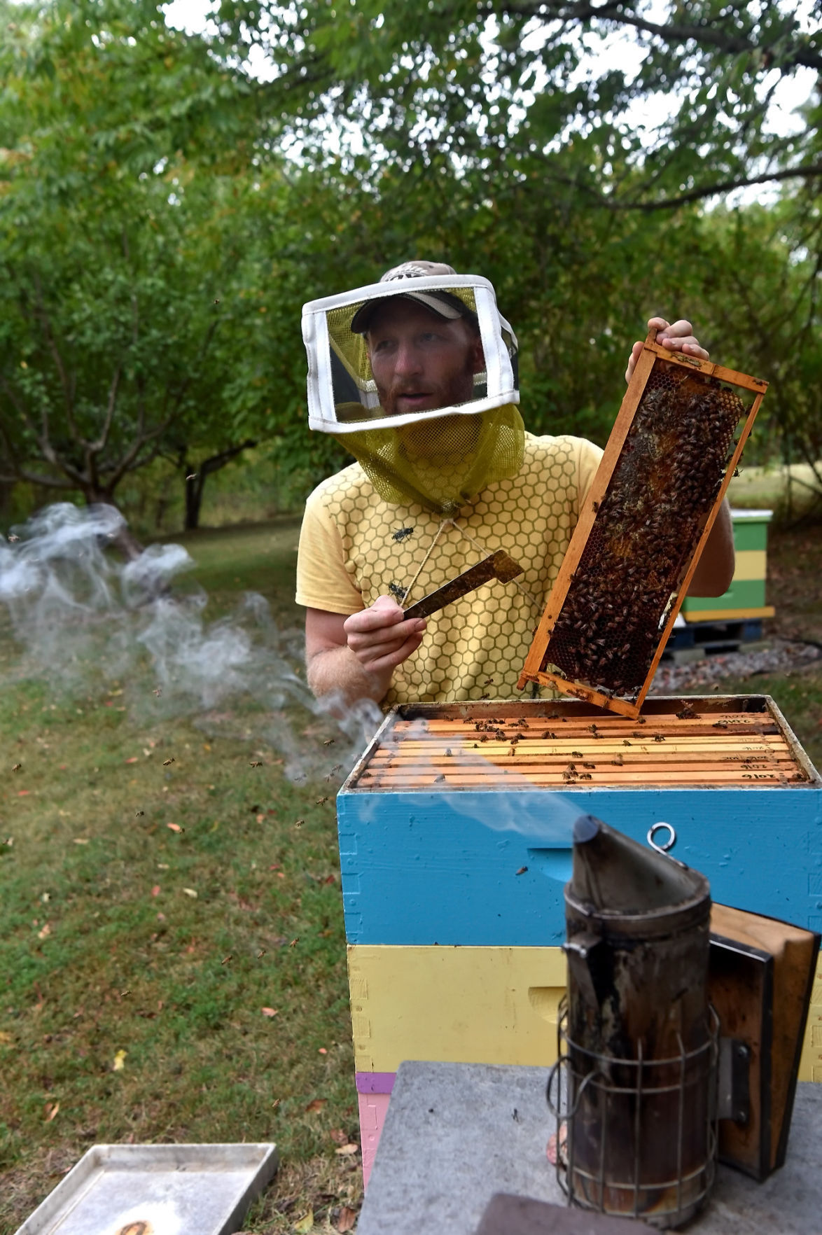 Natural Beekeeping